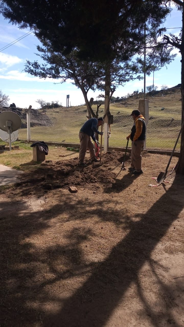 IFD – JIN Maternal Nº 1