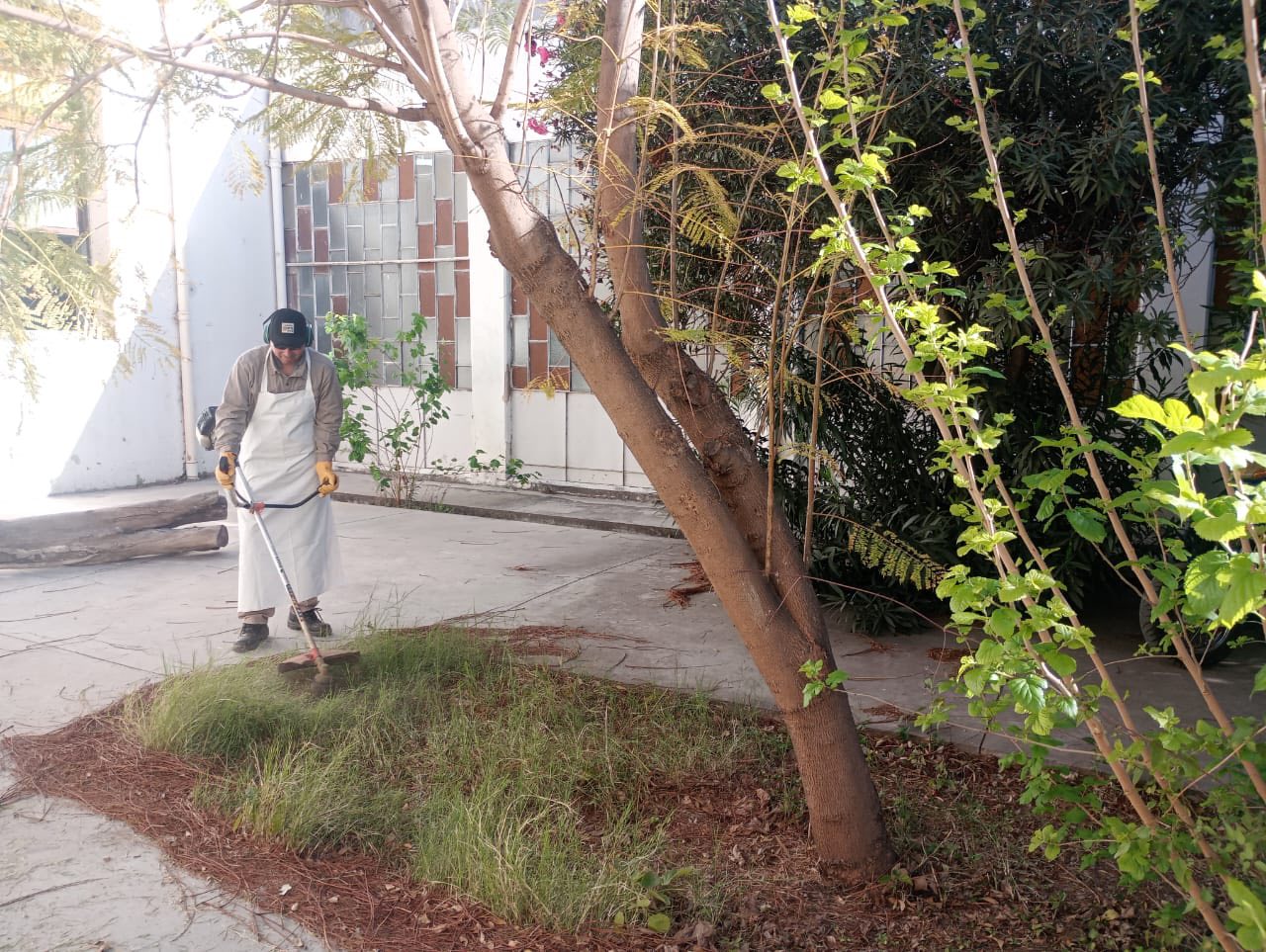 ISAC desmalezamiento y limpieza