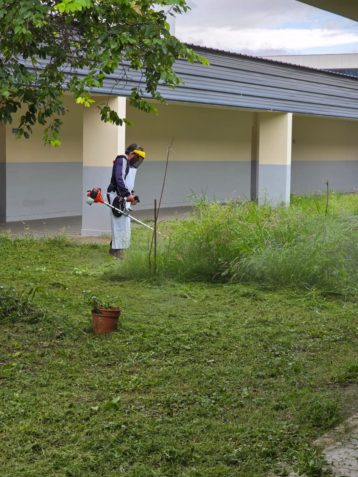 E.S.A.E. Nº 3 -  Escuela Secundaria de Arte